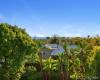 1217 Eolus Avenue, Encinitas, California, United States 92024, 4 Bedrooms Bedrooms, ,1 BathroomBathrooms,For sale,Eolus Avenue,190042416