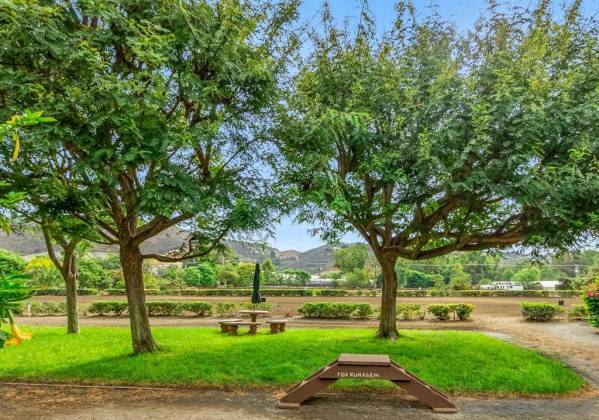 3228 Twin Oaks Valley Rd, San Marcos, California, United States 92069, 4 Bedrooms Bedrooms, ,1 BathroomBathrooms,For sale,Twin Oaks Valley Rd,190051277