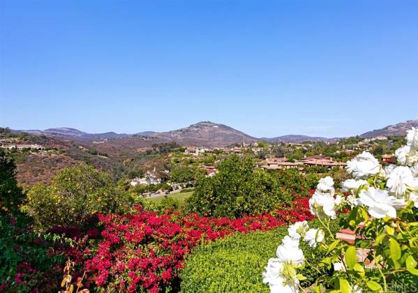 6284 Strada Fragante, Rancho Santa Fe, California, United States 92091, 4 Bedrooms Bedrooms, ,2 BathroomsBathrooms,For sale,Strada Fragante,190053788