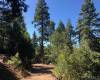 22276 Crestline, Palomar Mountain, California, United States 92060, 1 Bedroom Bedrooms, ,For sale,Crestline,190056332