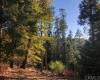 22276 Crestline, Palomar Mountain, California, United States 92060, 1 Bedroom Bedrooms, ,For sale,Crestline,190056332