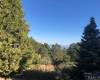 22276 Crestline, Palomar Mountain, California, United States 92060, 1 Bedroom Bedrooms, ,For sale,Crestline,190056332