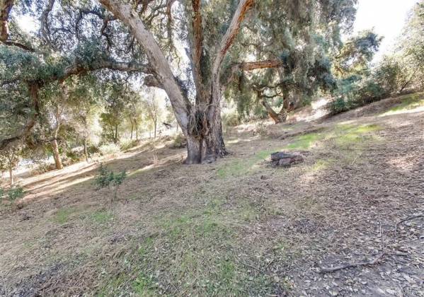 20433 Highway 76, Pauma Valley, California, United States 92061, 3 Bedrooms Bedrooms, ,For sale,Highway 76,190057269