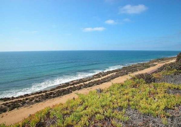 279 Sea Forest Court, Del Mar, California, United States 92014, 2 Bedrooms Bedrooms, ,For sale,Sea Forest Court,190058988