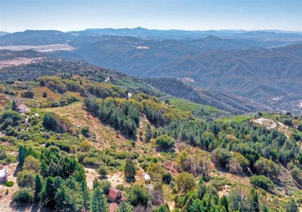 22237 Crestline, Palomar Mountain, California, United States 92060, ,For sale,Crestline,190059994