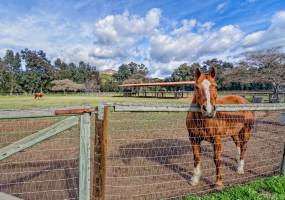 40631 De Luz Murrieta Rd, Fallbrook, California, United States 92028, 3 Bedrooms Bedrooms, ,For sale,De Luz Murrieta Rd,190061018