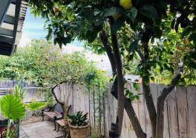 1286 Discovery St., San Marcos, California, United States 92078, 2 Bedrooms Bedrooms, ,For sale,Discovery St.,190063726