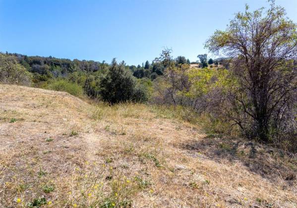 Incense Cedar Road #40, Julian, California, United States 92036, 2 Bedrooms Bedrooms, ,For sale,Incense Cedar Road #40,190065920