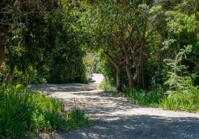 6253 Mimulus, Rancho Santa Fe, California, United States 92067, 2 Bedrooms Bedrooms, ,For sale,Mimulus,190066087