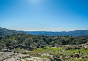 25346 Mesa Grande Rd., Santa Ysabel, California, United States 92070, 4 Bedrooms Bedrooms, ,1 BathroomBathrooms,For sale,Mesa Grande Rd.,200000680