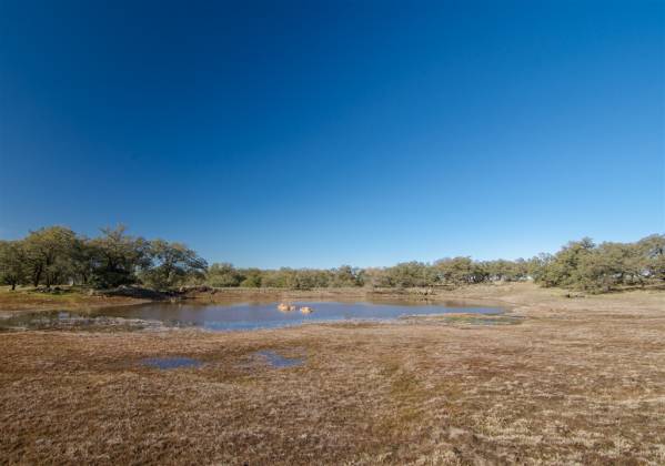 25258 Black Canyon Rd., Santa Ysabel, California, United States 92070, 3 Bedrooms Bedrooms, ,For sale,Black Canyon Rd.,200000910