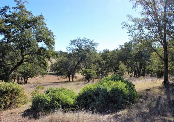 25258 Black Canyon Rd., Santa Ysabel, California, United States 92070, 3 Bedrooms Bedrooms, ,For sale,Black Canyon Rd.,200000910