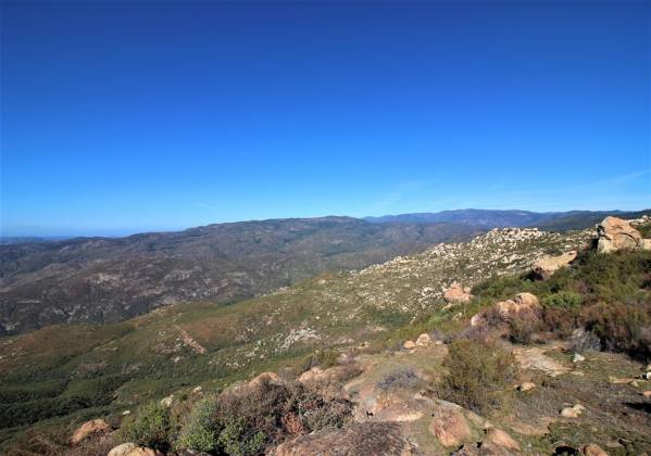 25258 Black Canyon Rd., Santa Ysabel, California, United States 92070, 3 Bedrooms Bedrooms, ,For sale,Black Canyon Rd.,200000910