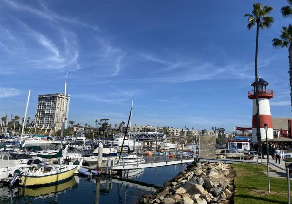 900 Cleveland St, Oceanside, California, United States 92054, 1 Bedroom Bedrooms, ,For sale,Cleveland St,200003656