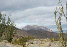 303 Tub Canyon Rd, Borrego Springs, California, United States 92004, ,For sale,Tub Canyon Rd,200003715