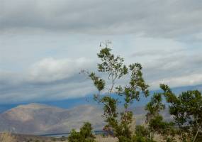 303 Tub Canyon Rd, Borrego Springs, California, United States 92004, ,For sale,Tub Canyon Rd,200003715