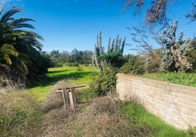 3210 Live Oak Park Rd, Fallbrook, California, United States 92028, 2 Bedrooms Bedrooms, ,For sale,Live Oak Park Rd,200004561