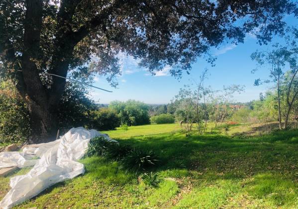 3210 Live Oak Park Rd, Fallbrook, California, United States 92028, 2 Bedrooms Bedrooms, ,For sale,Live Oak Park Rd,200004561