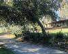 3210 Live Oak Park Rd, Fallbrook, California, United States 92028, 2 Bedrooms Bedrooms, ,For sale,Live Oak Park Rd,200004561