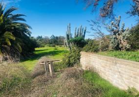 3210 Live Oak Park Rd, Fallbrook, California, United States 92028, 2 Bedrooms Bedrooms, ,For sale,Live Oak Park Rd,200004561