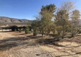 7418 Last Dollar Trail, Julian, California, United States 92036, 2 Bedrooms Bedrooms, ,For sale,Last Dollar Trail,200005431