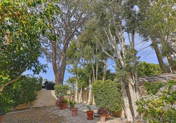 7725 Ivanhoe Ave. East, La Jolla, California, United States 92037, 3 Bedrooms Bedrooms, ,1 BathroomBathrooms,For sale,Ivanhoe Ave. East,200005466