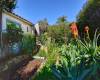 7520 Cabrillo Ave., La Jolla, California, United States 92037, 4 Bedrooms Bedrooms, ,1 BathroomBathrooms,For sale,Cabrillo Ave.,200005690