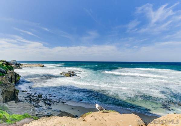 939 Coast, La Jolla, California, United States 92037, 3 Bedrooms Bedrooms, ,For sale,Coast,200005848