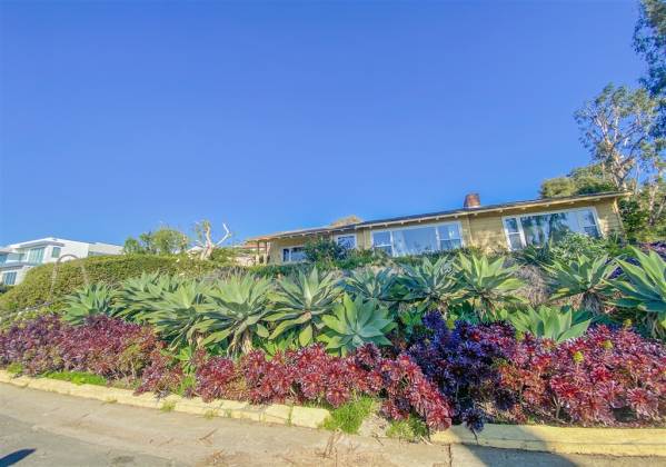 8305 Calle Del Cielo, La Jolla, California, United States 92037, 4 Bedrooms Bedrooms, ,For sale,Calle Del Cielo,200006988