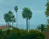 457 Coast, La Jolla, California, United States 92037, 2 Bedrooms Bedrooms, ,For sale,Coast,200008091