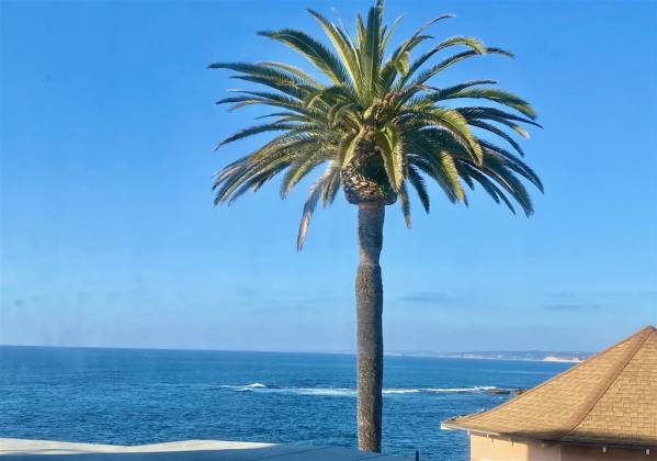 457 Coast, La Jolla, California, United States 92037, 2 Bedrooms Bedrooms, ,For sale,Coast,200008091