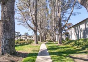 1750 S El Camino Real, Encinitas, California, United States 92024, 1 Bedroom Bedrooms, ,For sale,S El Camino Real,200008515