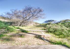 1750 S El Camino Real, Encinitas, California, United States 92024, 1 Bedroom Bedrooms, ,For sale,S El Camino Real,200008515