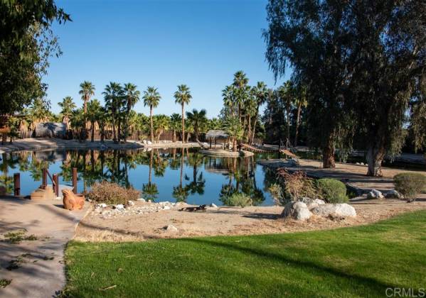 2101 Di Giorgio Rd, Borrego Springs, California, United States 92004, 4 Bedrooms Bedrooms, ,1 BathroomBathrooms,For sale,Di Giorgio Rd,200008648