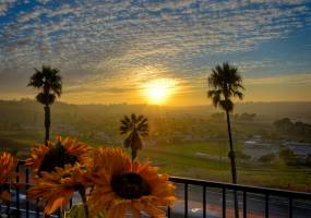 3606 Vista Rey, Oceanside, California, United States 92057, 2 Bedrooms Bedrooms, ,For sale,Vista Rey,200008973