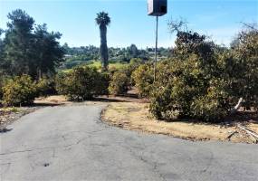 1405 Java Hills, Fallbrook, California, United States 92028, 3 Bedrooms Bedrooms, ,For sale,Java Hills,200009259