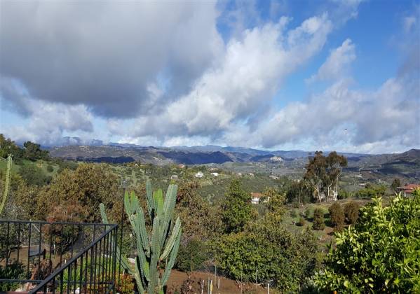 1405 Java Hills, Fallbrook, California, United States 92028, 3 Bedrooms Bedrooms, ,For sale,Java Hills,200009259