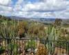 1405 Java Hills, Fallbrook, California, United States 92028, 3 Bedrooms Bedrooms, ,For sale,Java Hills,200009259