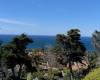 625 Avenida Primavera, Del Mar, California, United States 92014, 6 Bedrooms Bedrooms, ,1 BathroomBathrooms,For sale,Avenida Primavera,200009628