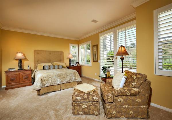 2972 Avenida Valera, Carlsbad, California, United States 92009, 3 Bedrooms Bedrooms, ,For sale,Avenida Valera,200009882