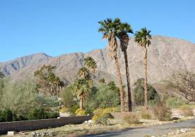 1471 De Anza Dr, Borrego Springs, California, United States 92004, 2 Bedrooms Bedrooms, ,For sale,De Anza Dr,200010301