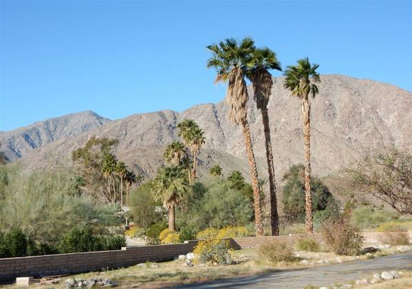 1471 De Anza Dr, Borrego Springs, California, United States 92004, 2 Bedrooms Bedrooms, ,For sale,De Anza Dr,200010301