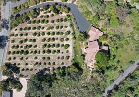 16636 Los Morros, Rancho Santa Fe, California, United States 92067, 3 Bedrooms Bedrooms, ,For sale,Los Morros,200010490