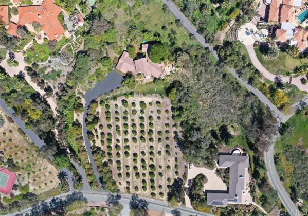 16636 Los Morros, Rancho Santa Fe, California, United States 92067, 3 Bedrooms Bedrooms, ,For sale,Los Morros,200010490