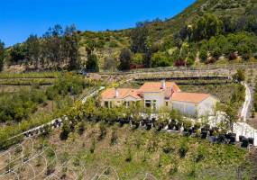 525 Stewart Canyon Rd, Fallbrook, California, United States 92028, 4 Bedrooms Bedrooms, ,1 BathroomBathrooms,For sale,Stewart Canyon Rd,200010521