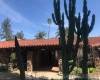 2456 Gum Tree Lane, Fallbrook, California, United States 92028, 3 Bedrooms Bedrooms, ,1 BathroomBathrooms,For sale,Gum Tree Lane,200010890