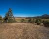 34996 Piute Trail, Julian, California, United States 92036, 5 Bedrooms Bedrooms, ,1 BathroomBathrooms,For sale,Piute Trail,200011252