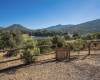 34996 Piute Trail, Julian, California, United States 92036, 5 Bedrooms Bedrooms, ,1 BathroomBathrooms,For sale,Piute Trail,200011252