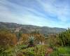 2425 Rose Road, Fallbrook, California, United States 92028, 3 Bedrooms Bedrooms, ,For sale,Rose Road,200021952