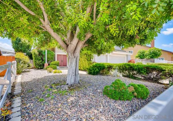 10555 BRAVERMAN DR, Santee, California, United States 92071, 4 Bedrooms Bedrooms, ,1 BathroomBathrooms,For sale,BRAVERMAN DR,200022079